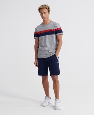 Superdry Orange Label Classic Wide Stripe Férfi Pólók Sötét Szürke | QHDCM7564